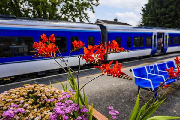 >西班牙递签邮件怎么寄