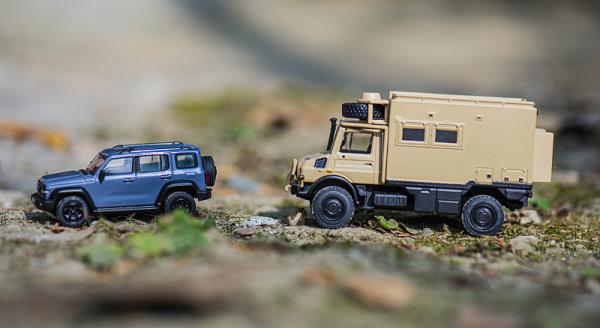 西班牙大便怎么寄