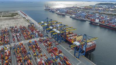 厦门盛达顺物流有限公司有关概要