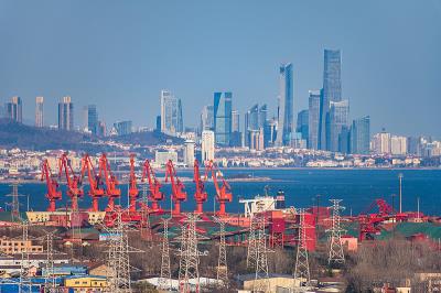 福建绿玛物流有限公司部分信息