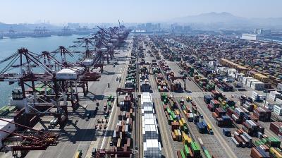 福建凤凰物流有限公司相应介绍