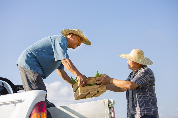 亚马逊FBA和自发货清关模式对比，如何选择合适的物流渠道？