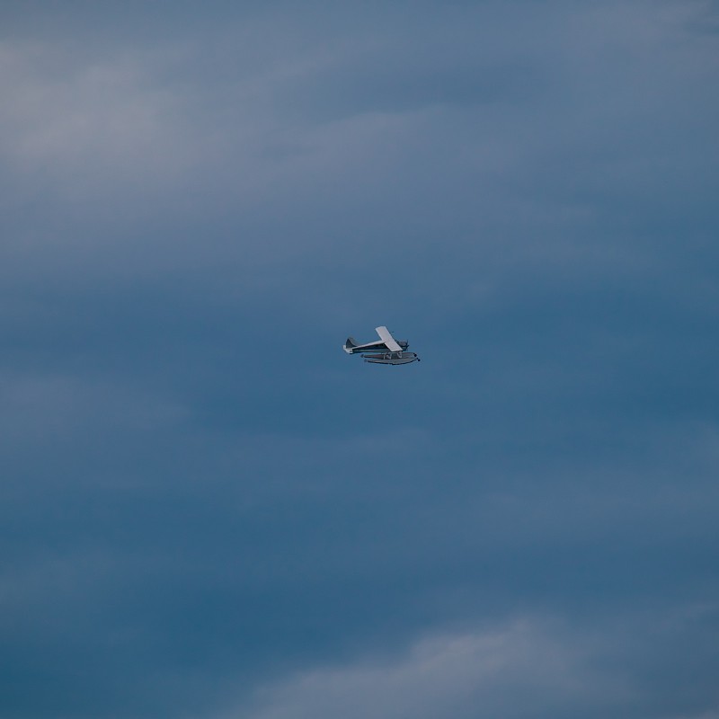 宠物空运到西班牙多少钱