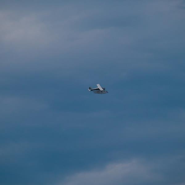 宠物空运到西班牙多少钱